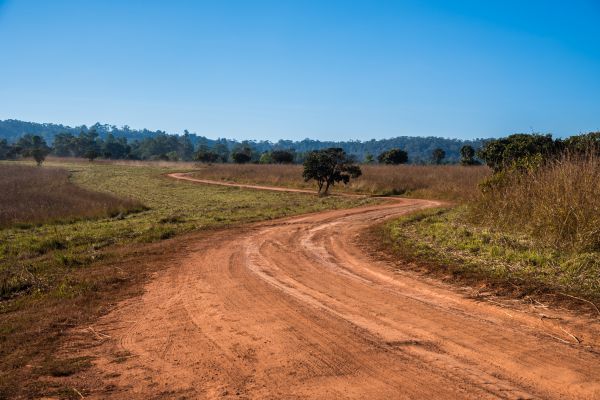 Dirt Driveway Repair in College Station