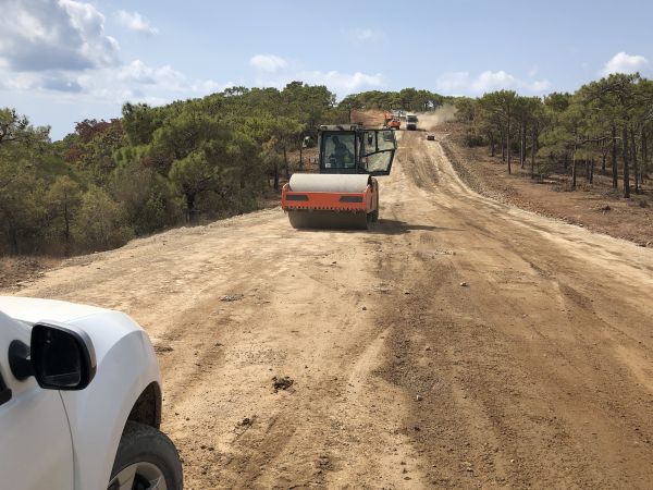 Cost of Driveway Grading in College Station