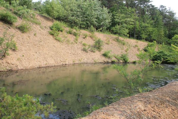 Pond Erosion Repair in College Station