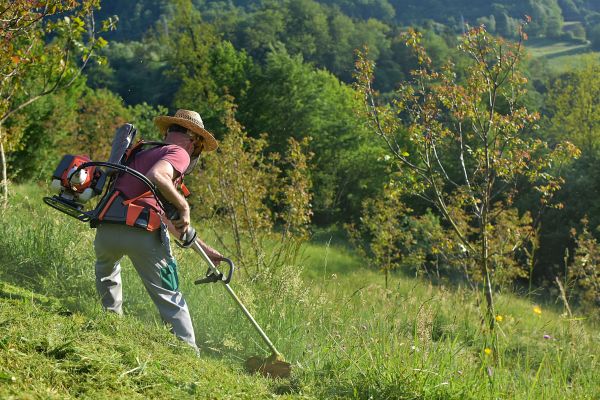 Cost of Slope Trimming in College Station